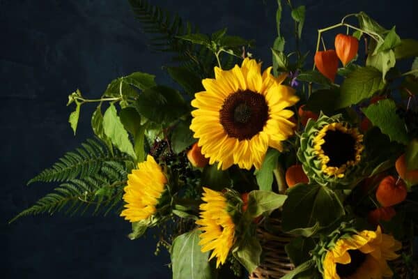 Beautiful bouquet