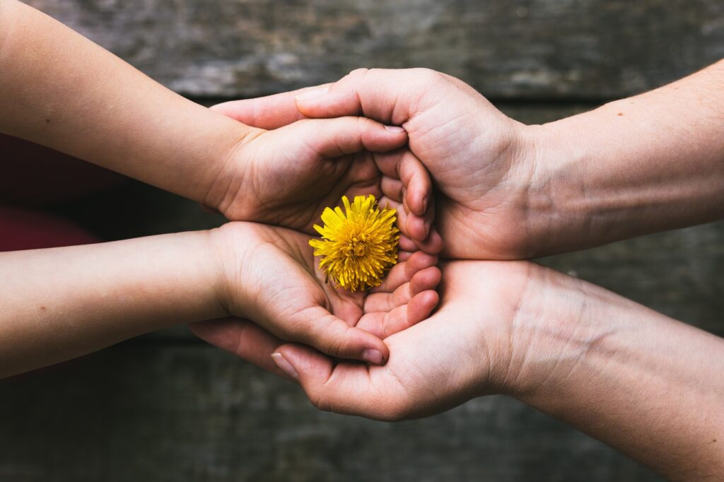 Parent and child hands handing flowers