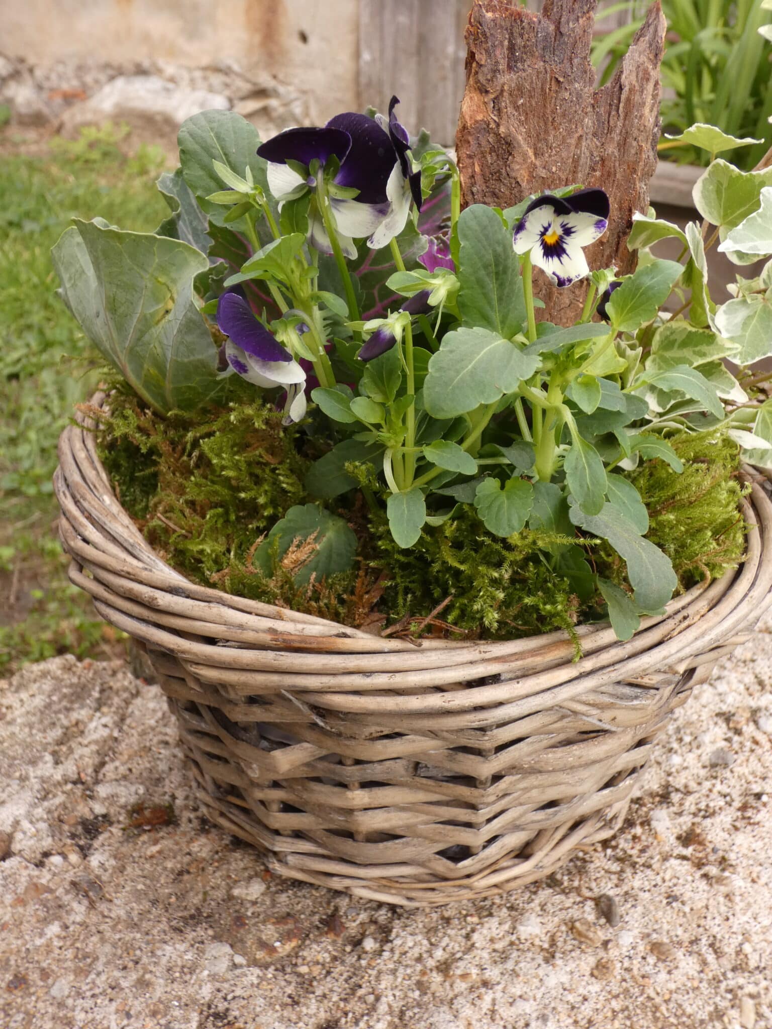 Petit panier de plantes de saison