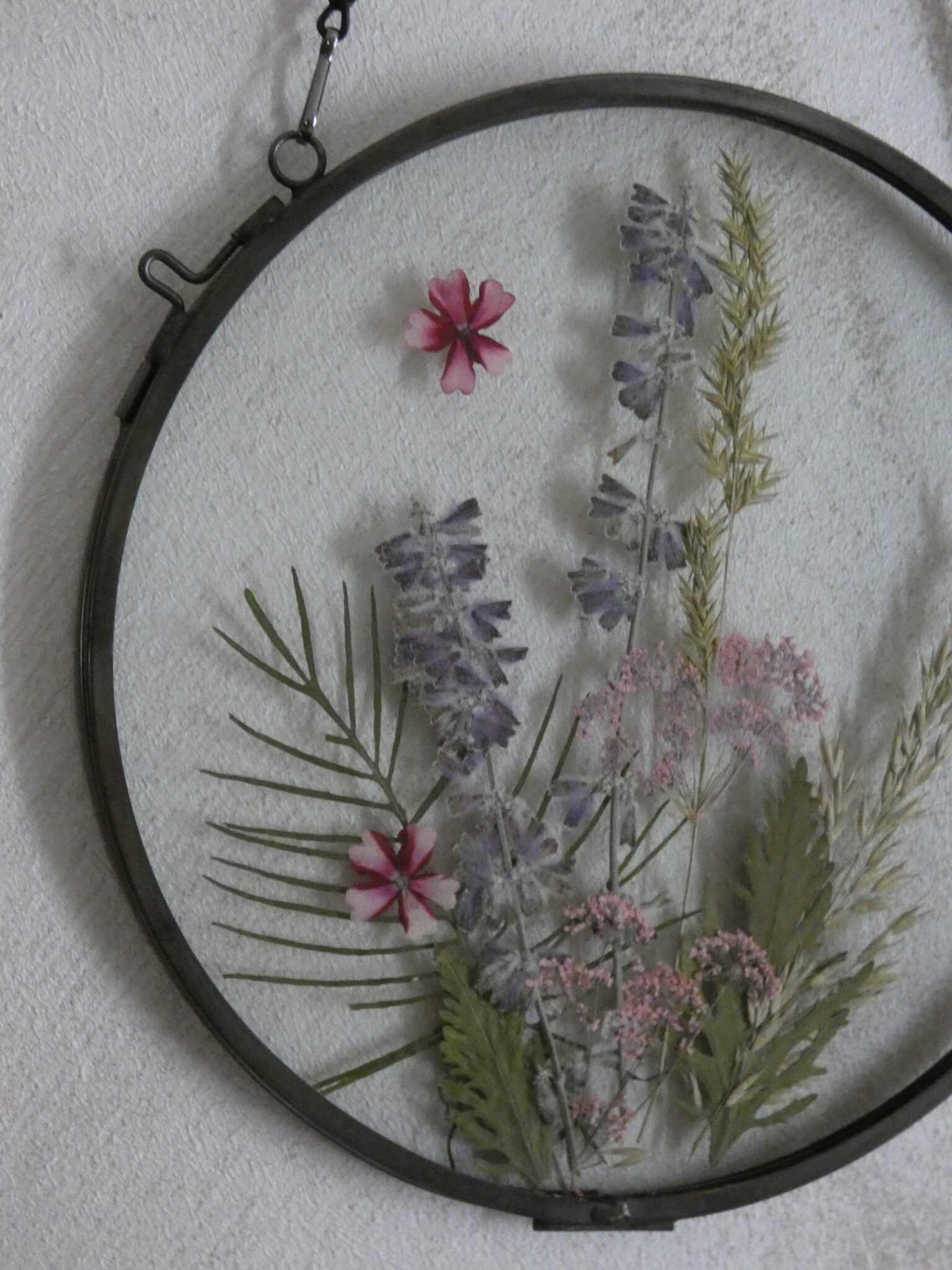 Cadre fleurs pressées "champêtre"