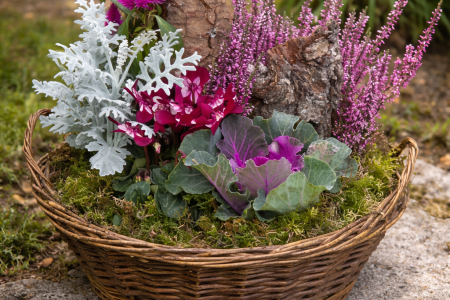 ChatGPT Image 11 mars 2026, 15_06_50