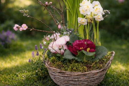 ChatGPT Image 16 févr. 2026, 21_39_31