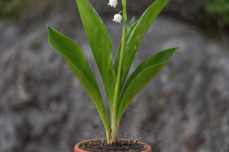 ChatGPT Image 28 avr. 2026, 11_55_24