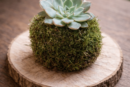 ChatGPT Image 6 févr. 2026, 13_28_57