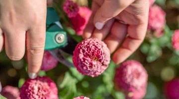 Laura-Thiely-Photography-8135